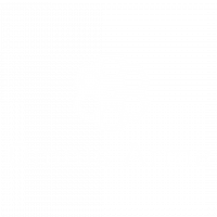 omnis arma logo b